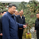 总书记的人民情怀丨“以加快农业农村现代化更好推进中国式现代化建设”
