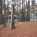  【福地怀化·懂你如家】 60亩萌宠乐园国庆开“嗨” 陪你解锁不一样假期体验