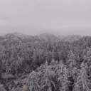 鹤城区：邀你共赏黄岩冬日限定的生态之美