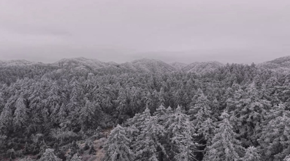 鹤城区：邀你共赏黄岩冬日限定的生态之美