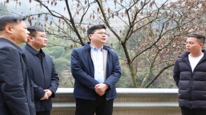 郑明明督导检查安全生产工作