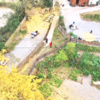 鹤城区：民生“关键小事”办成百姓心头“暖心实事”