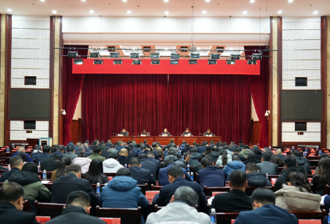 全区党务工作会议召开