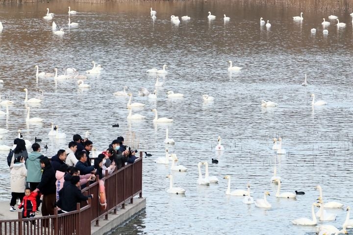 202603033226e204aff467f9a3b894bacb6e43da.jpg 202603033226e204aff467f9a3b894bacb6e43da.jpg