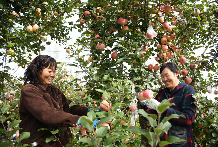 20260303ddf1836d8c730cf8a0d252d2b07b4713.jpg 20260303ddf1836d8c730cf8a0d252d2b07b4713.jpg