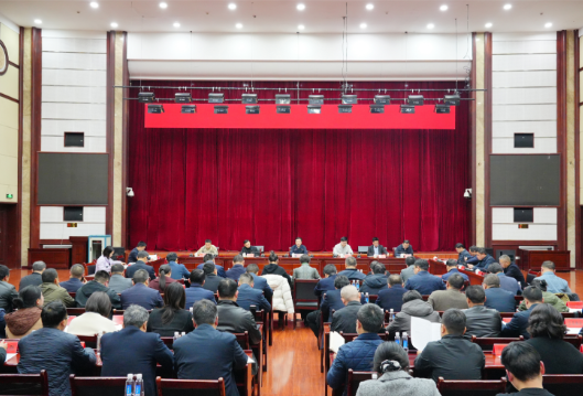 唐成主持召开区委党的建设工作领导小组会议