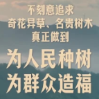此行间·植树造林，总书记强调要“利民”