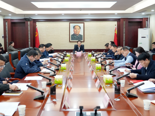 唐成主持召开区委人才工作领导小组会议