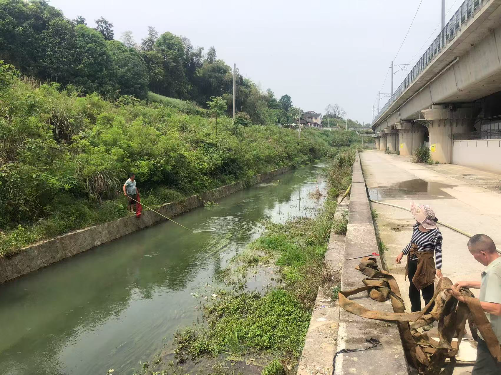 一河碧水映初心  ——盈口街道深化“河长制”打造幸福溪河工作侧记