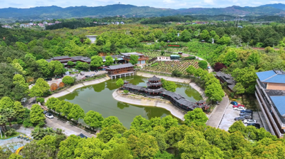 鹤城区：乡村玫瑰园盛放  赴一场春日浪漫之约