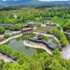 鹤城区：乡村玫瑰园盛放  赴一场春日浪漫之约