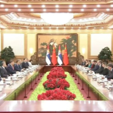 习近平同塞尔维亚总统武契奇会谈