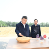 习近平在山东德州考察