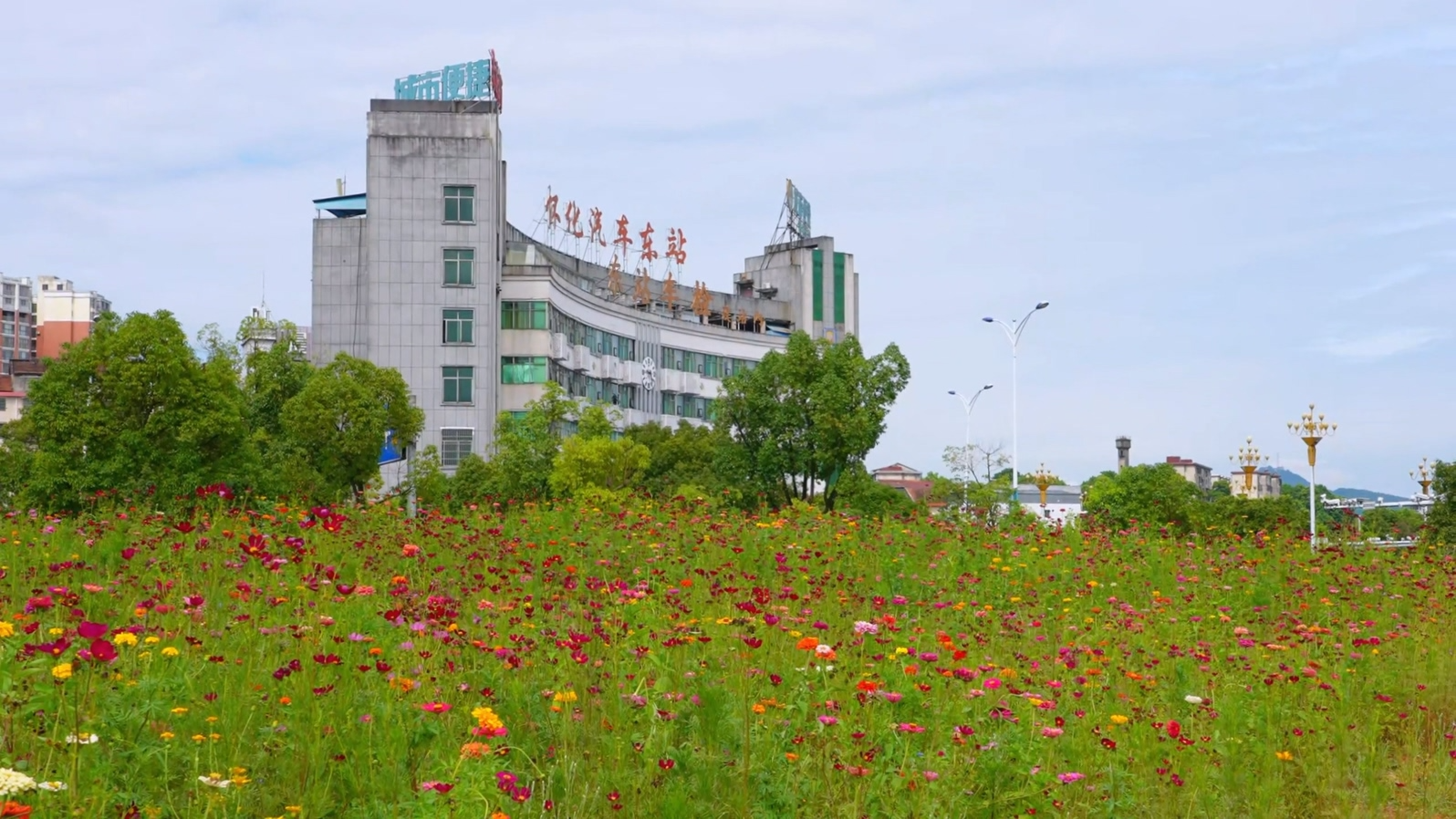 小花园鲜花盛放 市民乐享城市“微幸福”