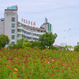 小花园鲜花盛放 市民乐享城市“微幸福”