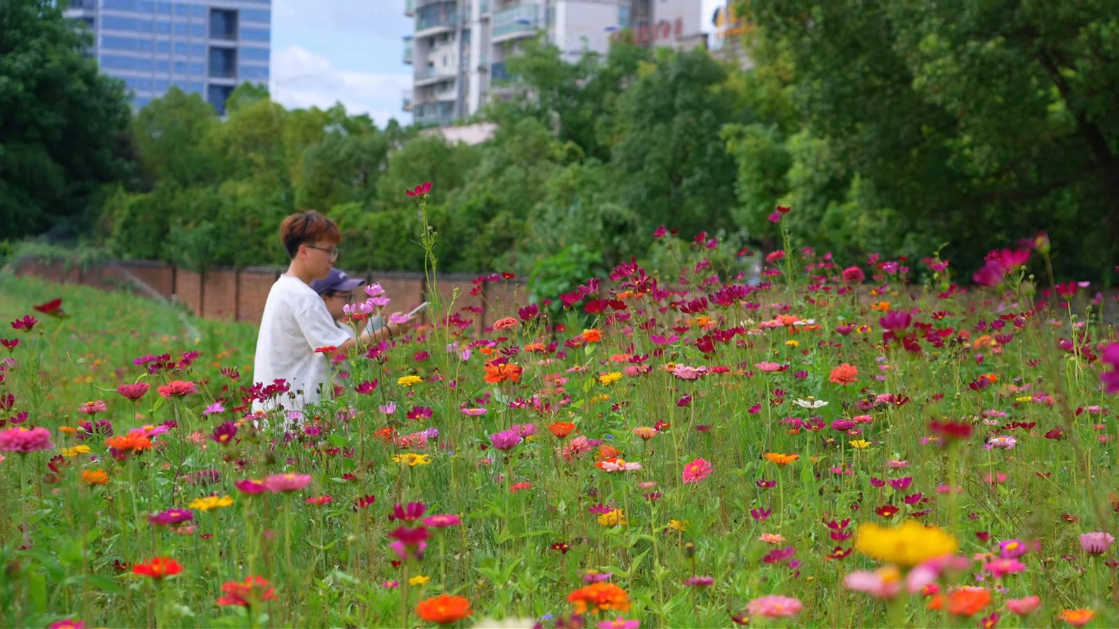 小花园.mp4_20260717_155723.469.jpg 小花园.mp4_20260717_155723.469.jpg