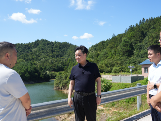 唐成督导检查防汛度汛、安全生产等工作