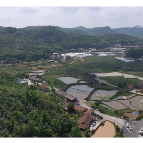 黄岩生态旅游区:留住夏日清风 尽享山野清凉
