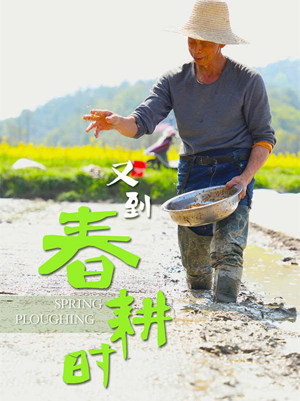 3.25特殊图说.jpg