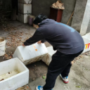 城北街道茅谷冲社区开展“清洁家园，灭蚊防病”行动