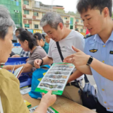 鹤城区开展2026年食品安全宣传周主题活动