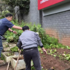 城中街道三角坪社区开展违规种菜清理