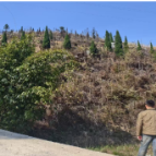 城中街道榆市村开展清明森林防火专项巡查工作