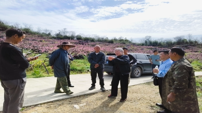 黄岩管理处邀请农技专家开展黄桃种植技术现场指导