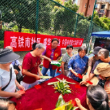 〔我们的节日·端午〕城南街道开展端午节主题活动