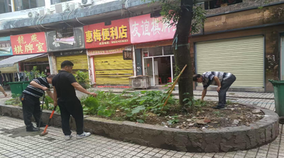 东兴社区集中整治违规种菜  美化人居环境