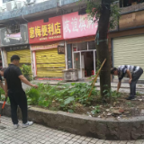 东兴社区集中整治违规种菜 美化人居环境