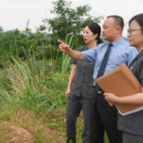 世界环境日 | 鹤城区检察院联合鹤城区法院开展生态环境普法宣传活动