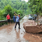 杨地坪村:山体落石阻断通行 干群合力抢通道路保畅通