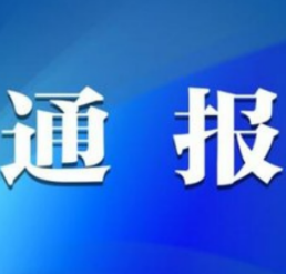 中共共青团怀化市鹤城区委员会机关支部委员会关于巡察整改进展情况的通报