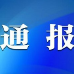 中共怀化市鹤城区妇女联合会党组关于巡察整改进展情况的通报