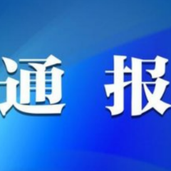 中共怀化市鹤城区科学技术协会党组关于巡察整改进展情况的通报