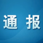 怀化市鹤城区城中街道党工委关于巡察整改进展情况的通报