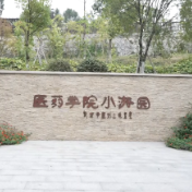 怀化:“见缝插绿” “绘”出城市好景致