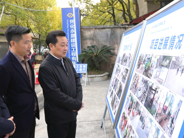 唐成调研太平溪综合治理并督导检查安全生产工作