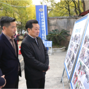 唐成调研太平溪综合治理并督导检查安全生产工作