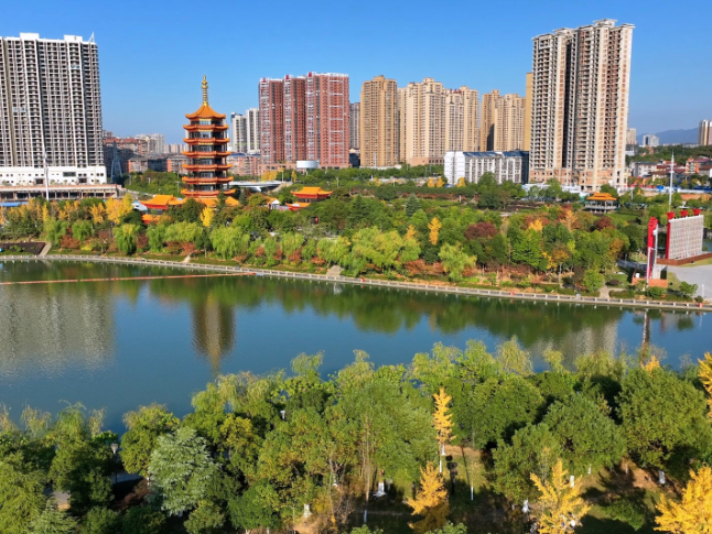 【大美鹤城】鹤鸣洲：水岸光影交错  满目初冬斑斓