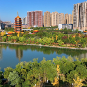 【大美鹤城】鹤鸣洲：水岸光影交错  满目初冬斑斓