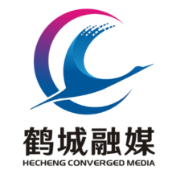 中共怀化市鹤城区坨院街道双村村支部委员会关于巡察整改进展情况的通报
