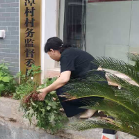 凉亭坳乡开展“环境卫生整治、清除病媒孳生地”活动