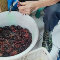 鹤城区市场监督管理局开展龙虾清洗专项执法行动