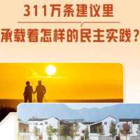 一见·311万条建议里，承载着怎样的民主实践？