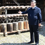 学习新语｜总书记心系“中华瑰宝”