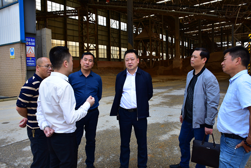 区人大常委会视察全区环境状况和环境保护目标完成情况