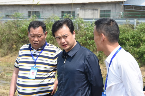 白云峰带队到长城乡繁白村实地督查春耕备耕工作,区领导刘奖红,周亮亮