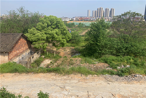 微信图片_20200417174036.jpg